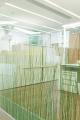 Raiffeisenbank Krems | NÖ | 2013 | Abtrennung Servicezone | Photo Lechner